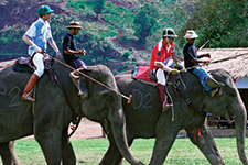 Polo tailandés sobre elefantes - Patrick Monney