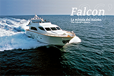 86’ Falcon - Edmundo A. Eguiarte