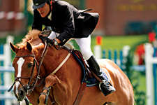 Masters 2008 – Spruce  Meadows - AMURA