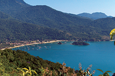 Ilha Grande, Brasil - Amura