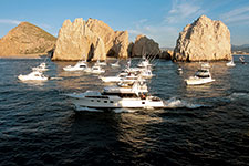 Sportfishing in Los Cabos - AMURA