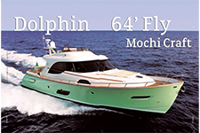 Dolphin 64 fly  - Enrique Rosas