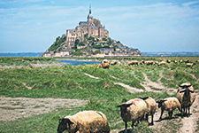 Saint Michel Island / France - AMURA