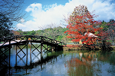 Obuse, Nagano, Japón - Amura