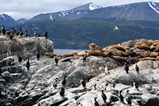 Ushuaia, Argentina  - Amura