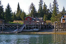 Kachemak Bay Wilderness Lodge - Rebeca Castillo