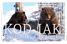 Kodiak El gigante de Alaska - Alicia Gutiérrez