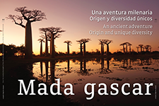 Madagascar - Ana María Morales