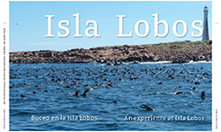 Isla Lobos - Scuba Divers Uruguay