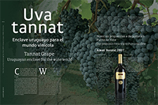 Uva tannat - Juan Diego Wasilevsky