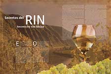 Secretos del Rin - Erin Brooks