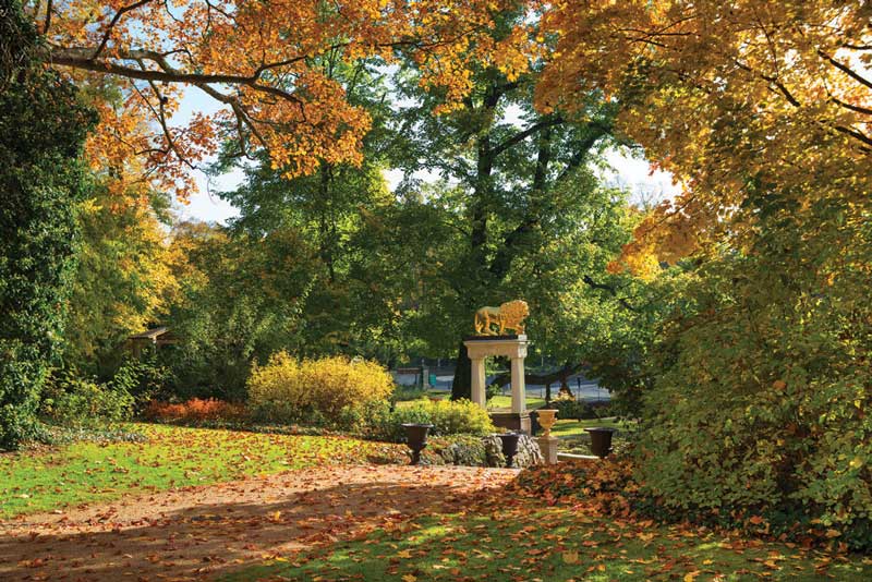 La entrada del otoño en Berlín, un espectáculo diario para contemplar.