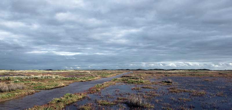 El Mar de Wadden representa ecosistema único en su tipo en todo el planeta.