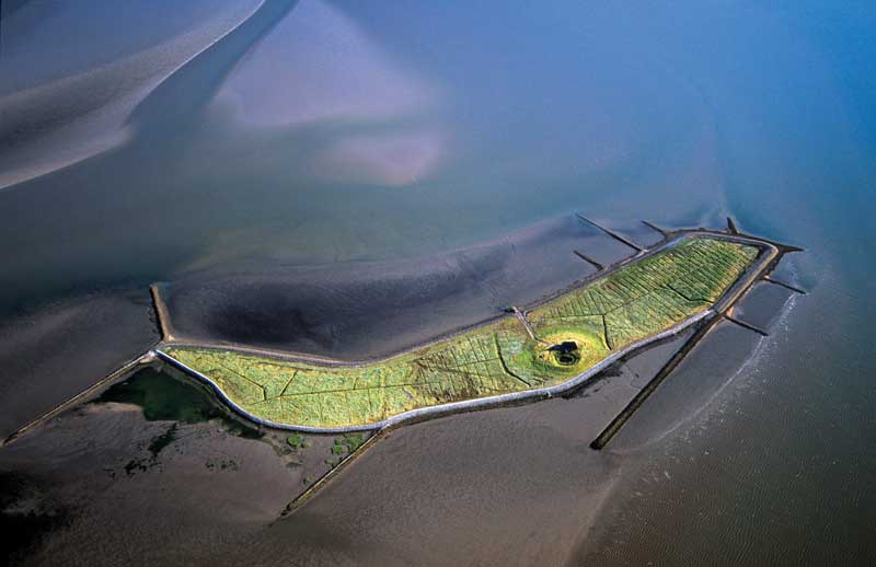 
The Wadden Sea is located along the German and Dutch coast. 