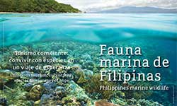 Philippines marine wildlife  - AA Yaptinchay, director de Marine Wildlife Watch of the Philippines