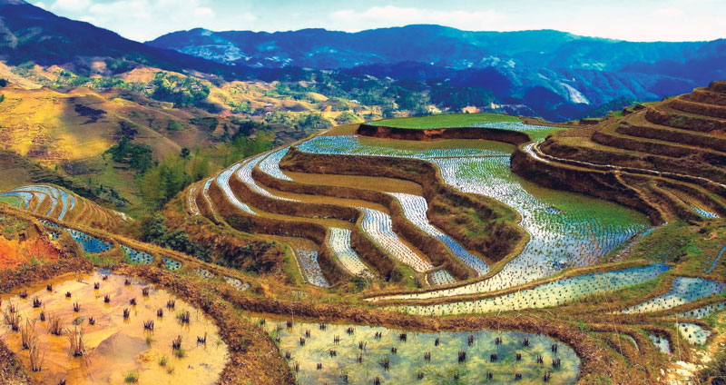 Terrazas de arroz en las montañas de Ifugao en Banaue, un Patrimonio de la Humanidad reconocido por la UNESCO que está próximo a Manila, Filipinas.
