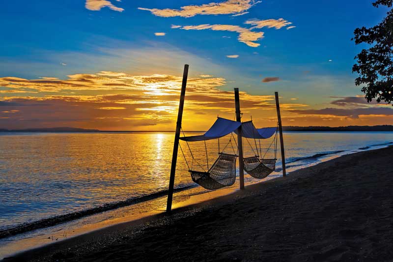 El mar de Donsol alberga vida mucho más allá de los paisajes que contemplamos en su paisaje terrestre.