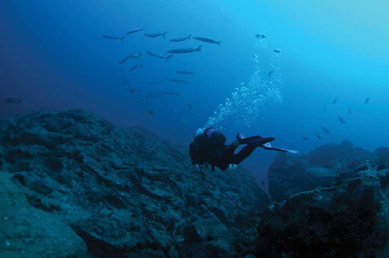 El descanso vacacional adquiere un sentido más profundo mediante la aventura submarina. 