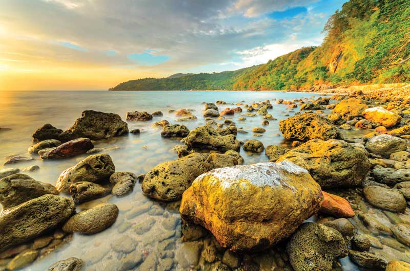 El santuario de Anilao es una zona ampliamente documentada en el mundo. 
