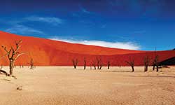 Dead Vlei, Namibia - AMURA