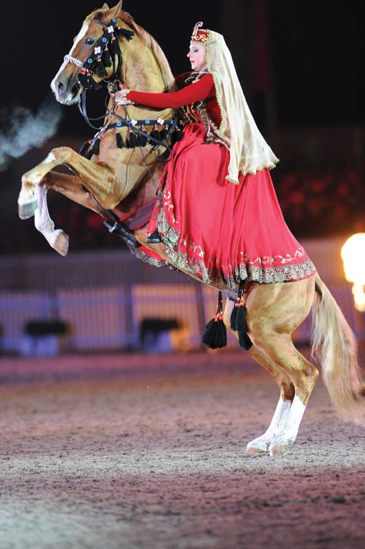 Artistic features with Karabakh horses.