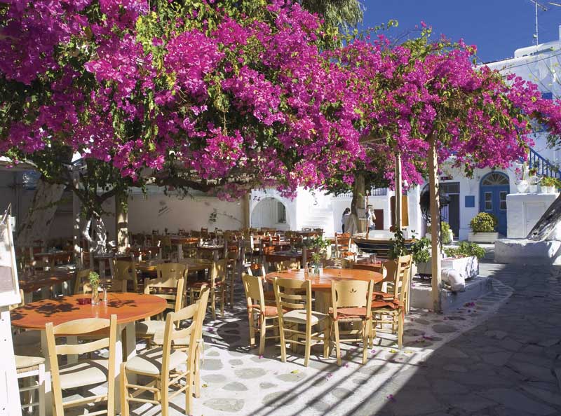 Lugar con vegetación y flores en un día hermoso. 