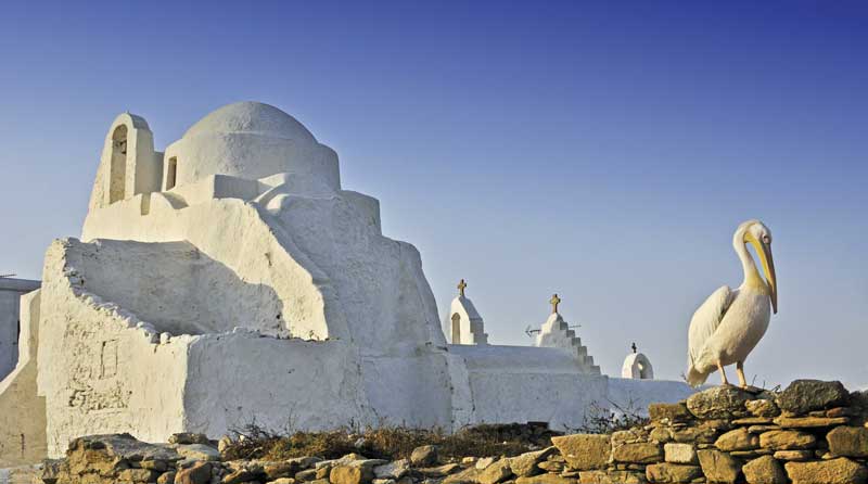 Iglesia de Panagia Paraportiani y Petros, el pelícano que se convirtió en el símbolo de la isla.