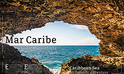 Caribbean Sea - Mariana Mares