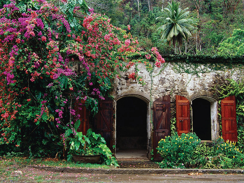 Sugar mill (1860) at the Invergoil Estate, Anse La Raye
