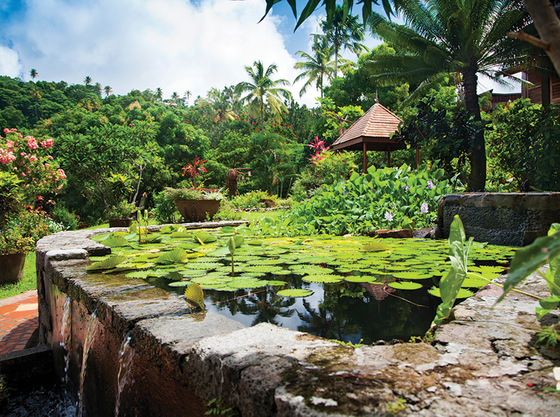 Diamond is the oldest botanic garden in the island
