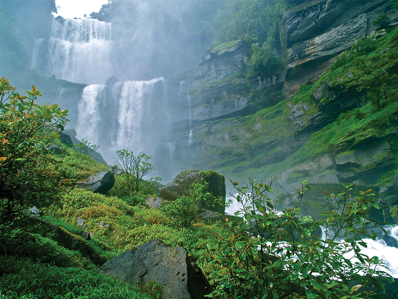 Diamond is the oldest botanic garden in the island
