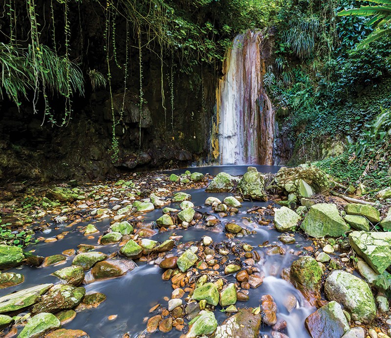 Diamond is the oldest botanic garden in the island
