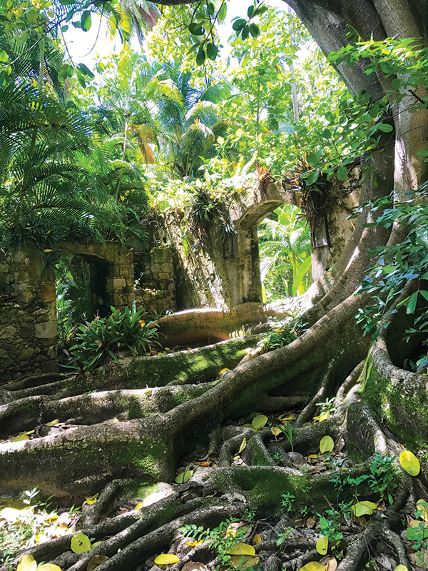 La Plantación Balenbouche posee importantes tesoros naturales, arqueológicos e históricos 