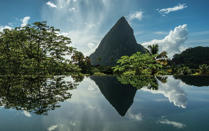 Sightings of the amazona are also possible at Gros Piton