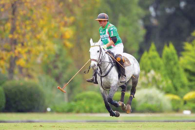 Polo en México