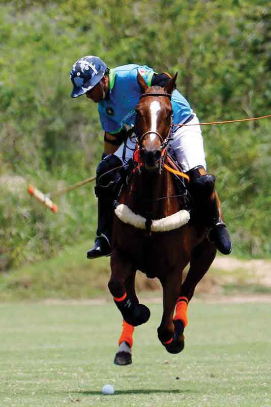 Polo en México