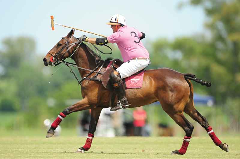 Polo en México