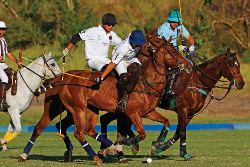 Polo en México