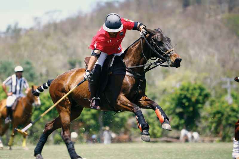 Polo en México