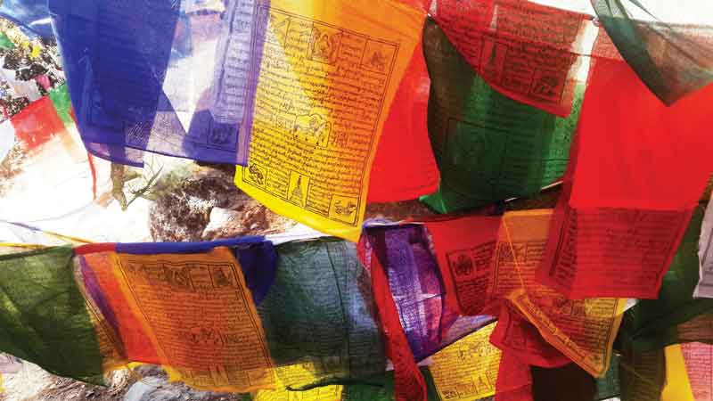Prayer flags are one of the most representative landscape images across the country. 
