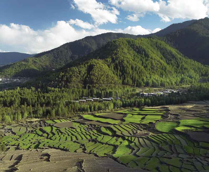 Bhutan is an example to the world, with more than 60% of its land still intact.