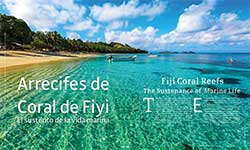 Arrecifes de Coral de Fiyi - Felipa Avilés