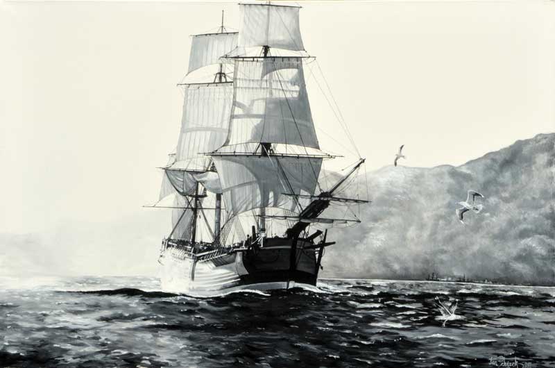 The HMS Endeavour was often praised for its endurance and efficiency in the mostly unexplored waters of the South Pacific.
