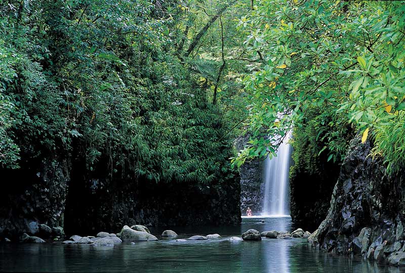 El parque nacional de la herencia Bouma abarca el 80% del área total de Taveuni y protege las cascadas Tavoro. 
