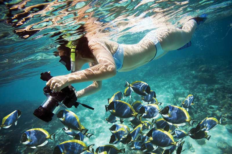 Fiyi es el lugar perfecto para practicar deportes acuáticos como buceo, snorkel, waterski, rafting, jetski, paravelismo, etc.