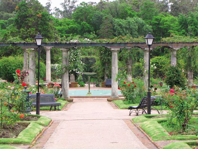 Amura,El jardín botánico tiene especies de plantas de varias regiones del mundo. 
