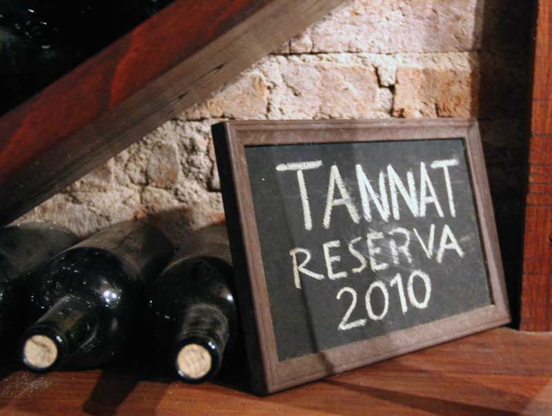 Amura,En el siglo XIX, los europeos introdujeron las uvas tannat para dar origen a los primeros vinos uruguayos. 
