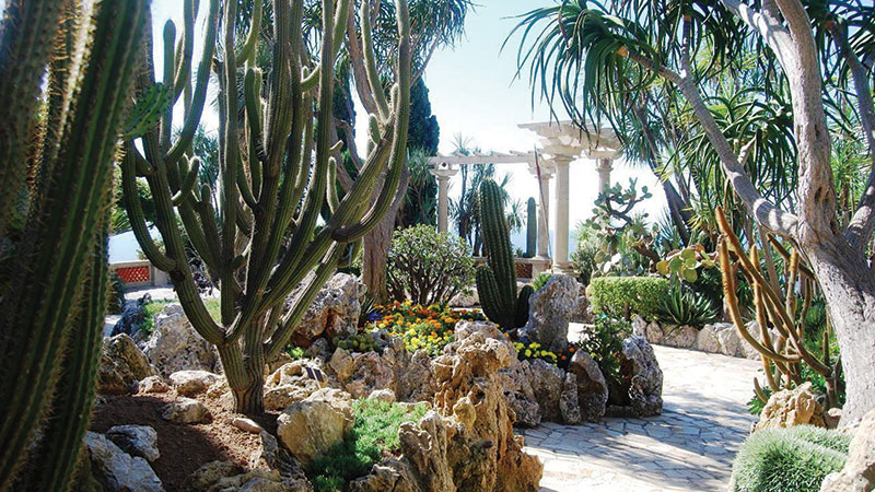 Amura,Exotic Garden of the Principality of Monaco.
