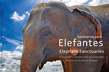 Elephant Sanctuaries - Maruchy Behmaras