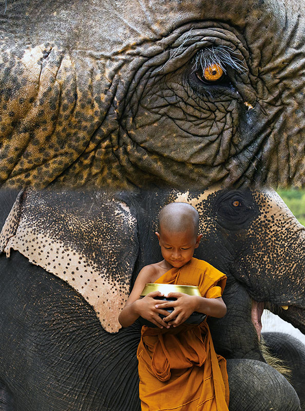 Amura, Camboya, Cambodia,Santuarios para Elefantes, 